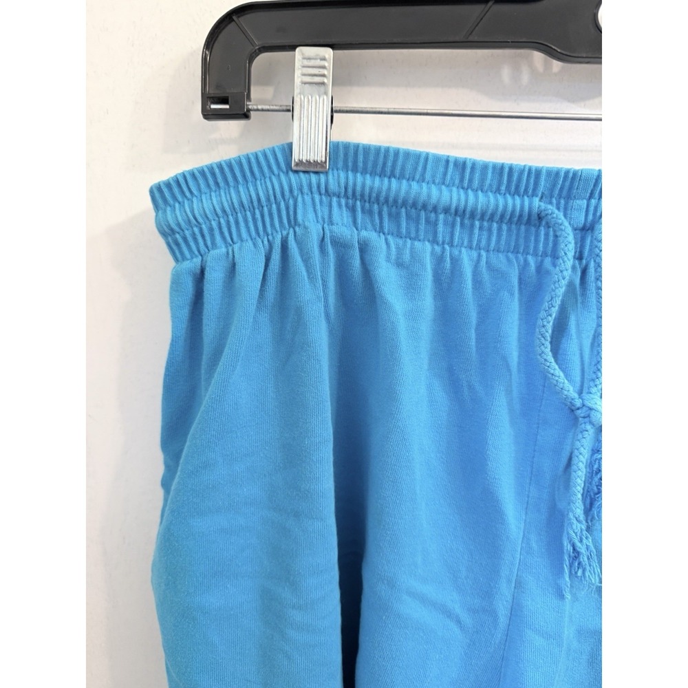 Disney Store Women's Large Sweat Shorts Vtg 90's Winnie The Pooh Embroidered - Picture 2 of 16